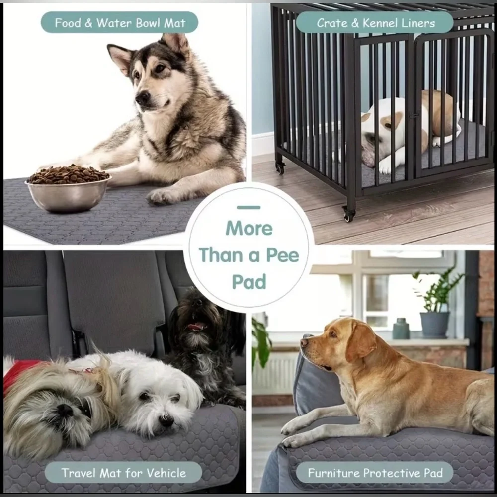 Brand New Training Pad/ Pee pad for dogs and cats